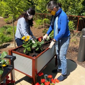 A Branchlands resident and staff member take part in container gardening