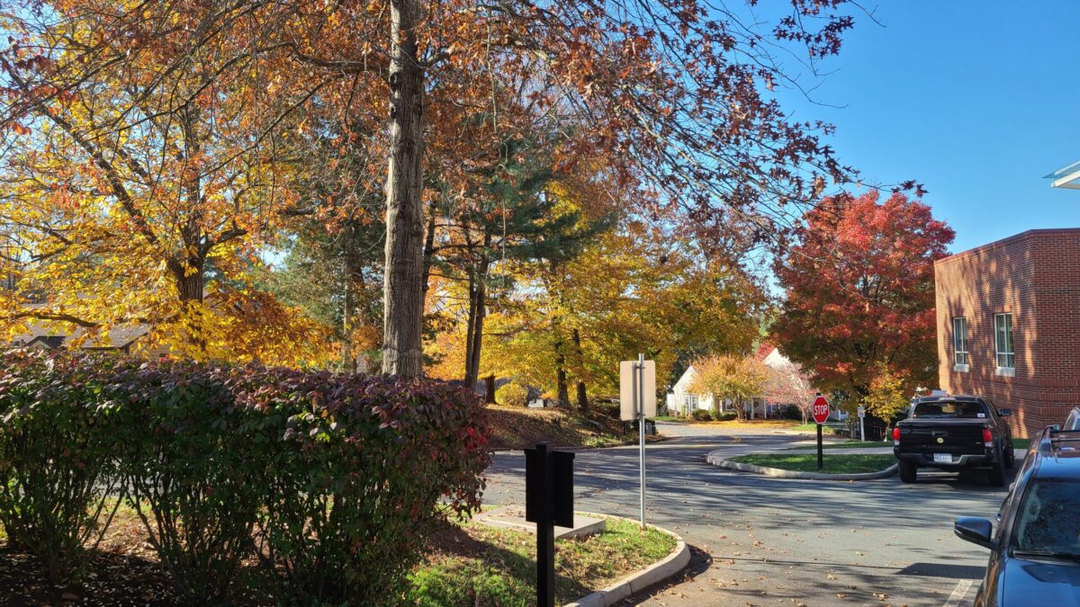 Fall leaves in the parking lot at Branchlands Senior Living.