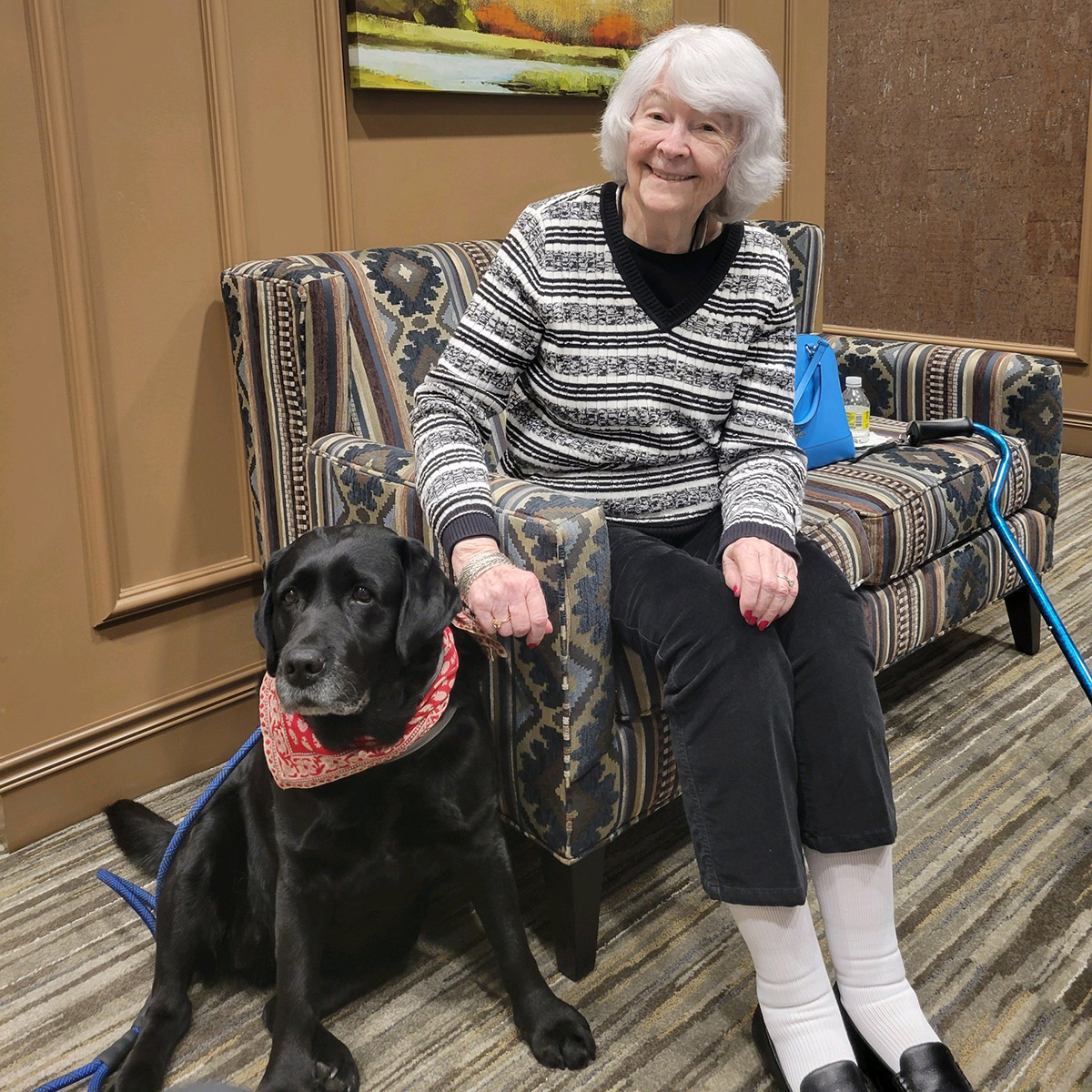 A black lab therapy dog sitting with an assisted living resident.