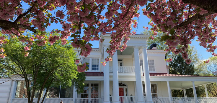 The Manor House at Branchlands with cherry blossoms out front.