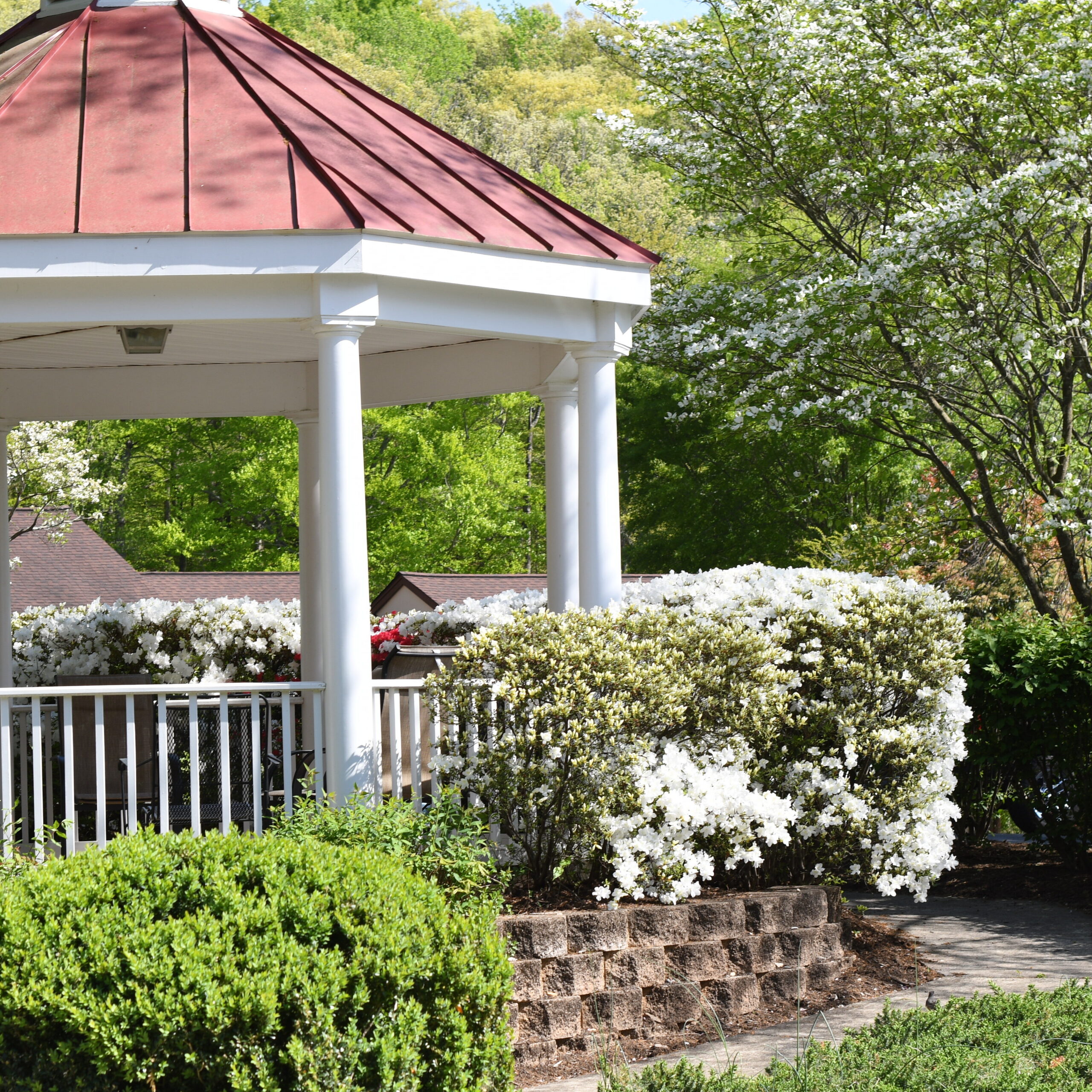 Branchlands gazebo
